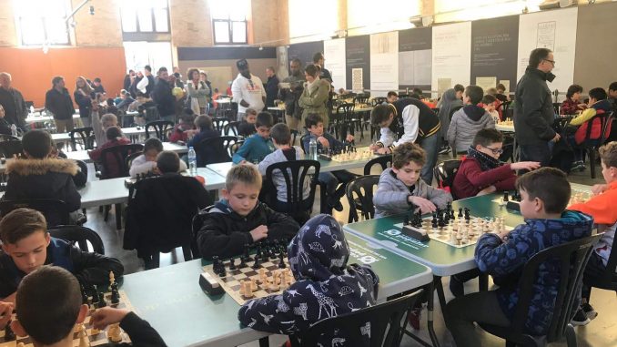 juegos ddeportivos municipales